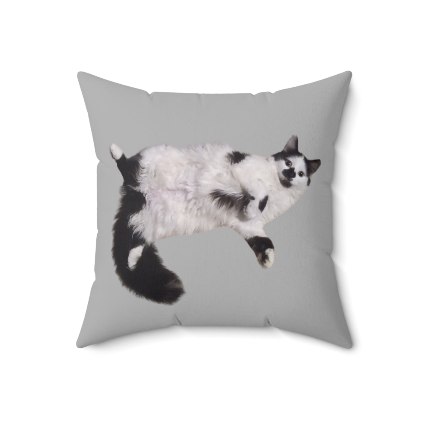 Polyester Square Pillow - 2-sided, Beanie Picture and Beanie Logo - Perfect for Cat Lovers