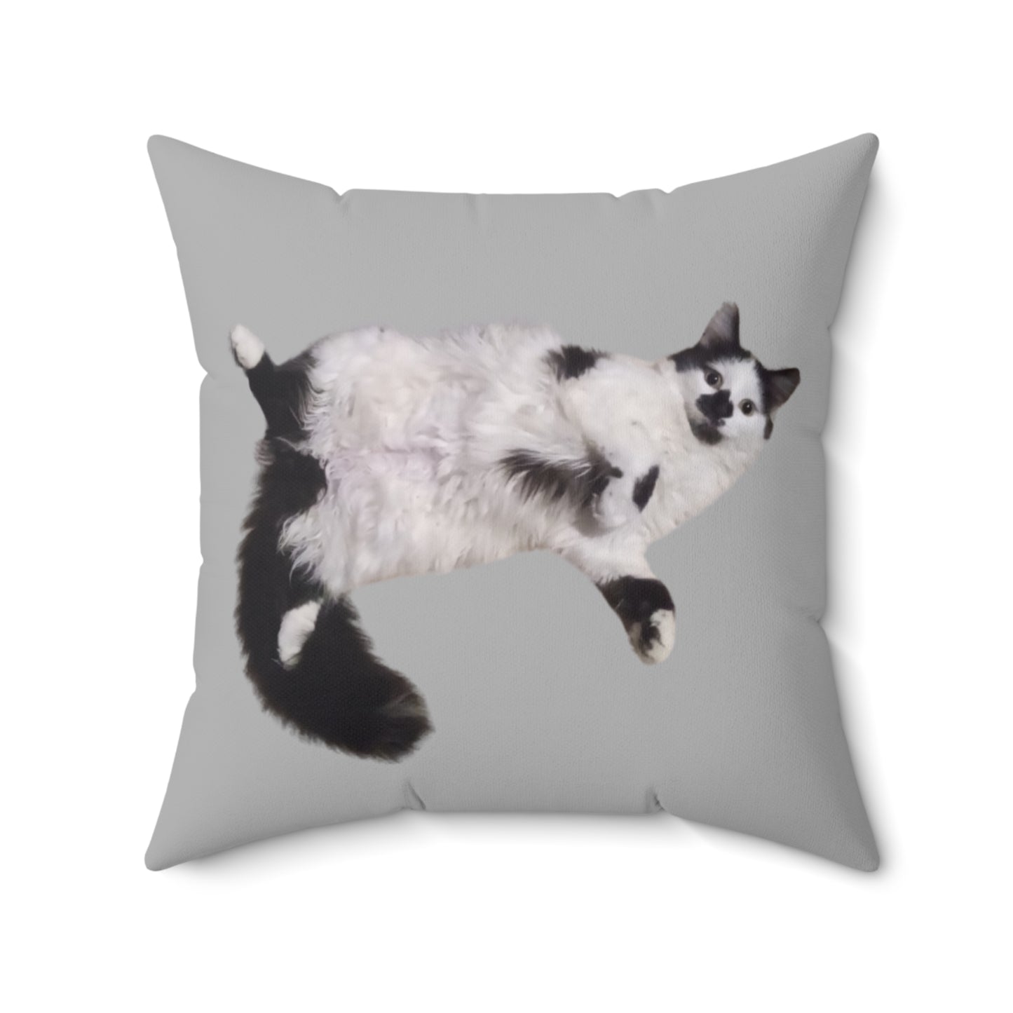 Polyester Square Pillow - 2-sided, Beanie Picture and Beanie Logo - Perfect for Cat Lovers