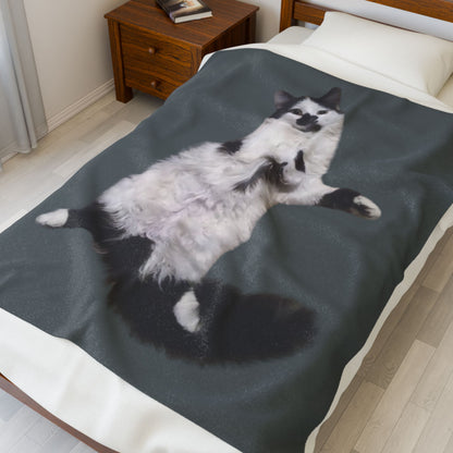 Velveteen Plush Blanket - Beanie the Cat Picture, Cozy Resting