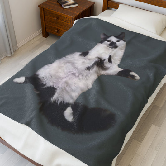 Velveteen Plush Blanket - Beanie the Cat Picture, Cozy Resting