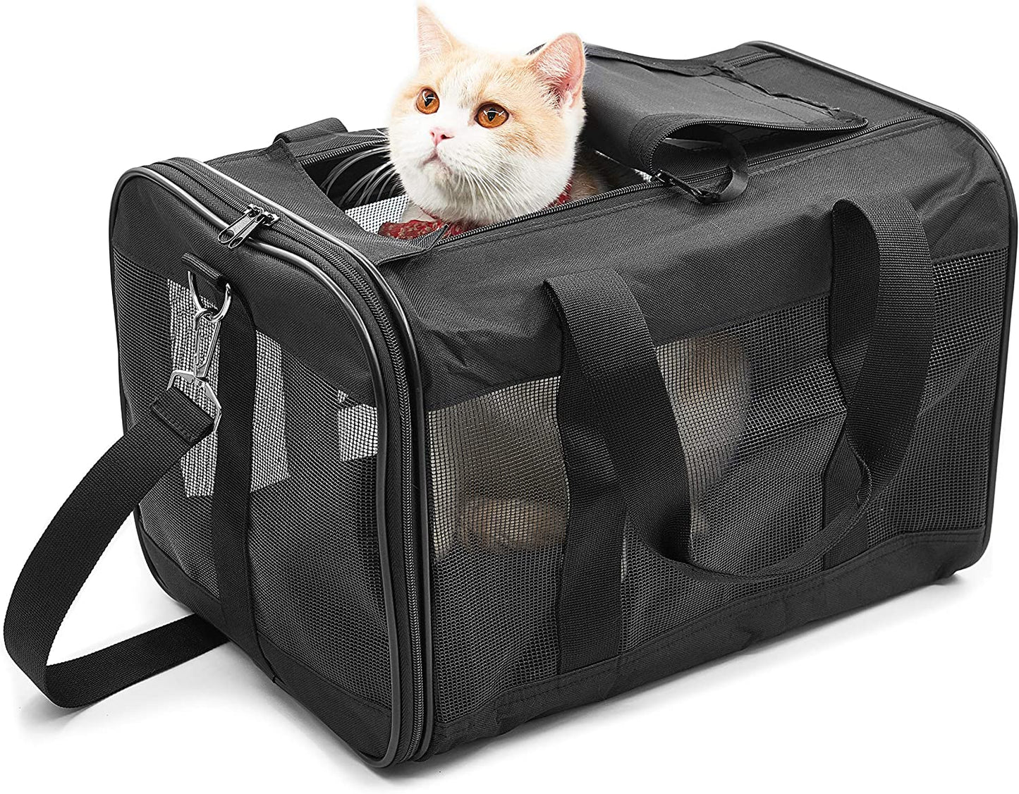 Pet Travel Carrier Soft Sided Portable Bag for Cats, Small Dogs, Kittens or Puppies 17 Lbs Max, Collapsible, Durable, Airline Approved, Travel Friendly (Medium)