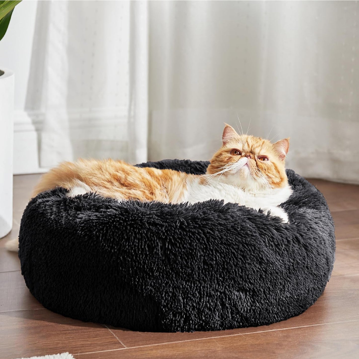 Calming Cat Beds for Indoor Cats - Small Cat Bed Washable 20 Inches, Anti-Slip round Fluffy Plush Faux Fur Pet Bed, Fits up to 15 Lbs Pets, Black