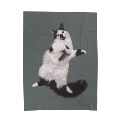 Velveteen Plush Blanket - Beanie the Cat Picture, Cozy Resting