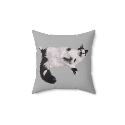 Polyester Square Pillow - 2-sided, Beanie Picture and Beanie Logo -  Perfect for Cat Lovers